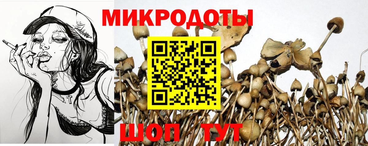 Рузаевка  Псилоцибиновые грибы прущие грибы  Вход с VPN  Псилоцибиновые грибы Magic Shrooms 